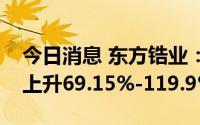 今日消息 东方锆业：预计上半年净利润同比上升69.15%-119.9%