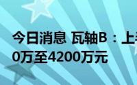 今日消息 瓦轴B：上半年同比转亏，预亏3300万至4200万元