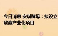 今日消息 安琪酵母：拟设立合资公司推进万吨级聚羟基脂肪酸酯产业化项目