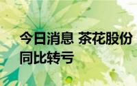 今日消息 茶花股份：上半年预亏700万元，同比转亏