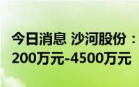 今日消息 沙河股份：上半年扭亏为盈，预盈4200万元-4500万元