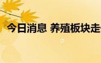 今日消息 养殖板块走低，天马科技跌近8%