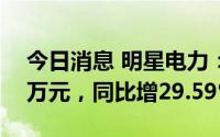 今日消息 明星电力：上半年净利润8001.61万元，同比增29.59%