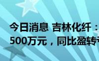 今日消息 吉林化纤：上半年预亏8000万元-9500万元，同比盈转亏