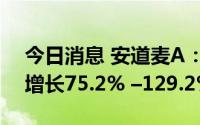 今日消息 安道麦A：预计上半年净利润同比增长75.2% –129.2%