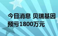 今日消息 贝瑞基因：上半年同比由盈转亏，预亏1800万元