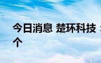 今日消息 楚环科技：IPO中签号码共36169个