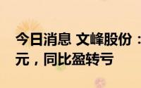 今日消息 文峰股份：上半年预计亏损2.01亿元，同比盈转亏