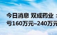 今日消息 双成药业：上半年同比盈转亏，预亏160万元–240万元