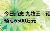 今日消息 九牧王：预计上半年同比扭盈为亏，预亏6500万元