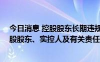 今日消息 控股股东长期违规占用公司资金，ST宏图、其控股股东、实控人及有关责任人遭上交所予以监管警示