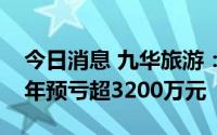 今日消息 九华旅游：游客接待量下降，上半年预亏超3200万元