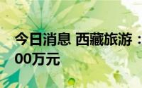 今日消息 西藏旅游：预计今年上半年亏损2600万元