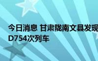 今日消息 甘肃陇南文县发现1例核酸阳性人员，活动轨迹涉D754次列车