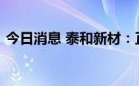 今日消息 泰和新材：正在进行中试线的建设