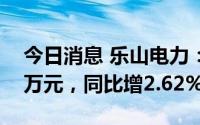 今日消息 乐山电力：上半年净利润8598.96万元，同比增2.62%