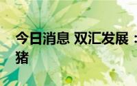 今日消息 双汇发展：年出栏产能主要指育肥猪