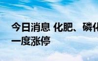 今日消息 化肥、磷化工板块走高，芭田股份一度涨停