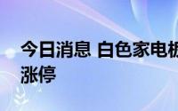 今日消息 白色家电板块震荡走强，长虹美菱涨停