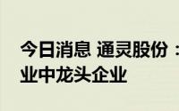 今日消息 通灵股份：公司前五大客户都是行业中龙头企业