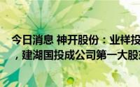 今日消息 神开股份：业祥投资所持13.07%股份已完成过户，建湖国投成公司第一大股东