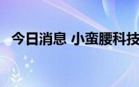 今日消息 小蛮腰科技大会10月在广州举行