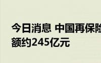 今日消息 中国再保险：上半年原保费收入总额约245亿元