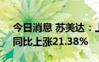 今日消息 苏美达：上半年净利润4.53亿元，同比上涨21.38%