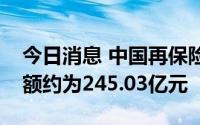 今日消息 中国再保险：上半年原保费收入总额约为245.03亿元