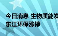 今日消息 生物质能发电板块走强，城发环境、东江环保涨停