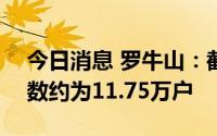 今日消息 罗牛山：截止7月20日，股东总户数约为11.75万户