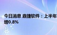 今日消息 鼎捷软件：上半年归母净利润3446.31万元，同比增0.8%