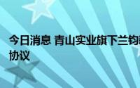 今日消息 青山实业旗下兰钧新能源与科陆储能签订战略合作协议