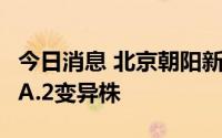 今日消息 北京朝阳新增病例系感染奥密克戎BA.2变异株