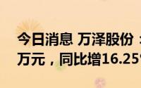 今日消息 万泽股份：上半年净利润7454.23万元，同比增16.25%