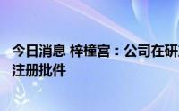 今日消息 梓橦宫：公司在研产品普瑞巴林口服溶液取得药品注册批件