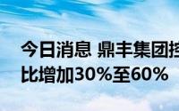 今日消息 鼎丰集团控股：上半年预期纯利同比增加30%至60%