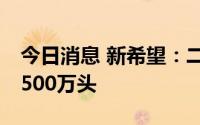 今日消息 新希望：二季度仔猪出生量在450-500万头