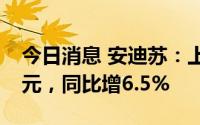 今日消息 安迪苏：上半年归母净利润8.69亿元，同比增6.5%