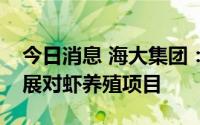 今日消息 海大集团：联手越秀集团在湛江开展对虾养殖项目