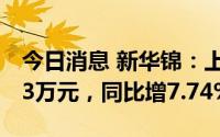 今日消息 新华锦：上半年归母净利润3405.73万元，同比增7.74%