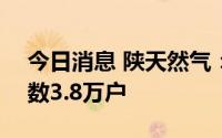 今日消息 陕天然气：截至7月29日，股东户数3.8万户