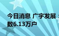 今日消息 广宇发展：截至7月29日，股东人数6.13万户