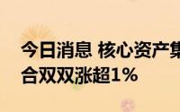 今日消息 核心资产集体发力，茅指数、宁组合双双涨超1%