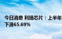 今日消息 利扬芯片：上半年归母净利润1359.92万元，同比下滑65.69%