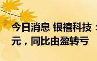 今日消息 银禧科技：上半年净亏1267.66万元，同比由盈转亏