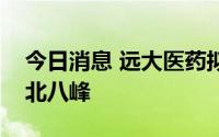 今日消息 远大医药拟收购氨基酸生产公司湖北八峰