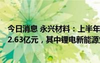 今日消息 永兴材料：上半年归母净利润同比涨647.64%至22.63亿元，其中锂电新能源业务盈利超21亿元