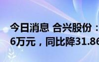 今日消息 合兴股份：上半年归母净利7240.56万元，同比降31.86%