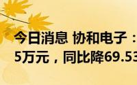 今日消息 协和电子：上半年归母净利1392.25万元，同比降69.53%